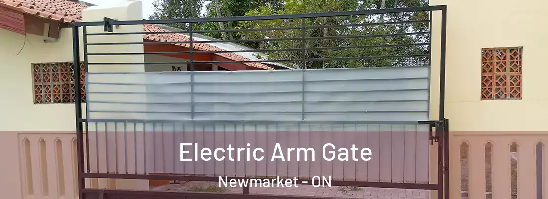  Electric Arm Gate Newmarket - ON