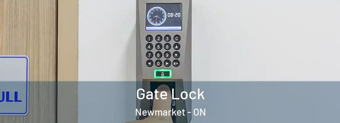  Gate Lock Newmarket - ON