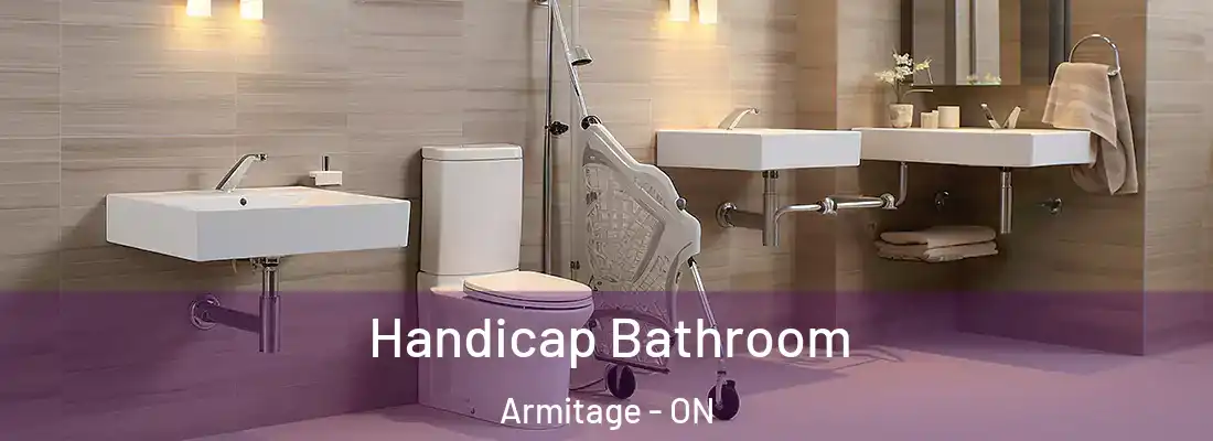  Handicap Bathroom Armitage - ON