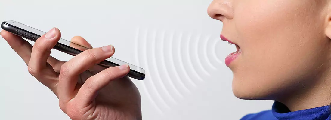 Residential and Commercial Voice Recognition Access Solutions in Bogarttown, ON